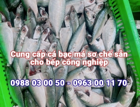 Cung cấp cá biển sơ chế sẵn cho bếp công nghiệp tại KCN Minh Hưng - Hàn Quốc