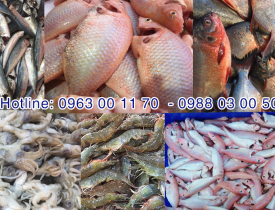 Cung cấp thực phẩm đã sơ chế cho suất ăn công nghiệp tại Bình Phước