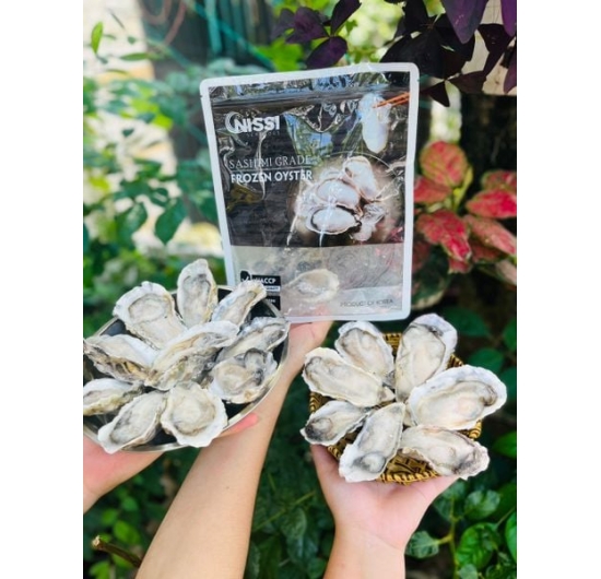 Hàu sashimi Nissi