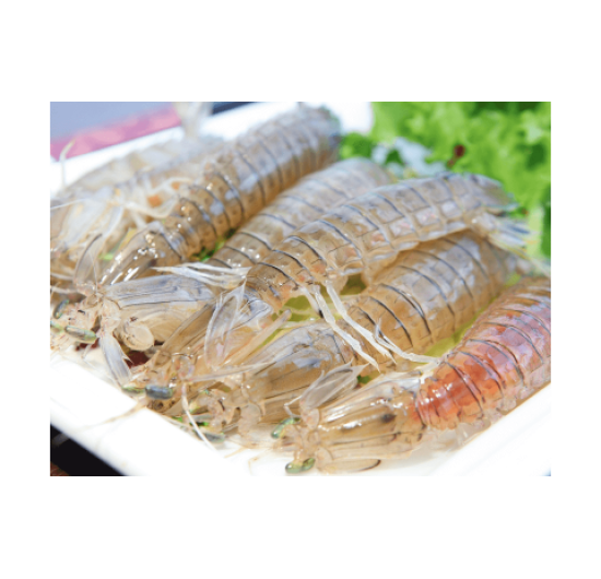 Vựa TÔM TÍT Bình Phước